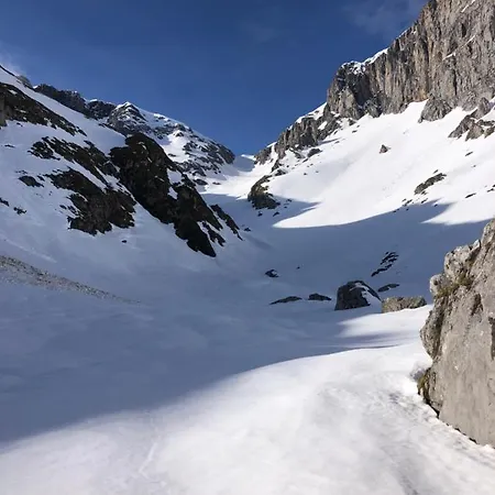 Basiver - Brana De Tejos Armaño