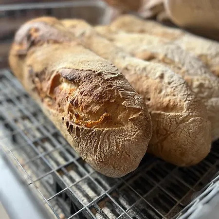 Basiver - Brana De Tejos * Armaño