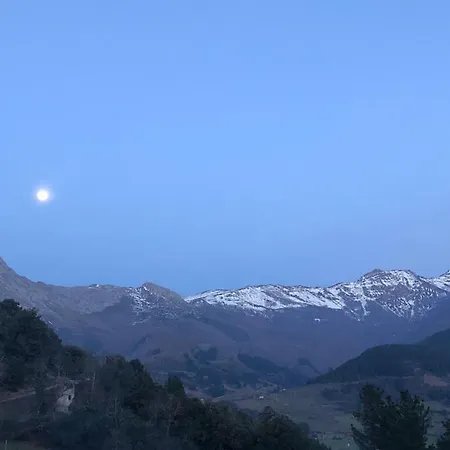 Basiver - Brana De Tejos *