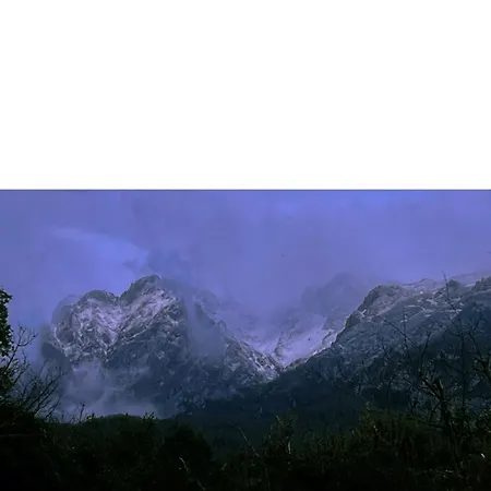 Basiver - Brana De Tejos カントリーハウス