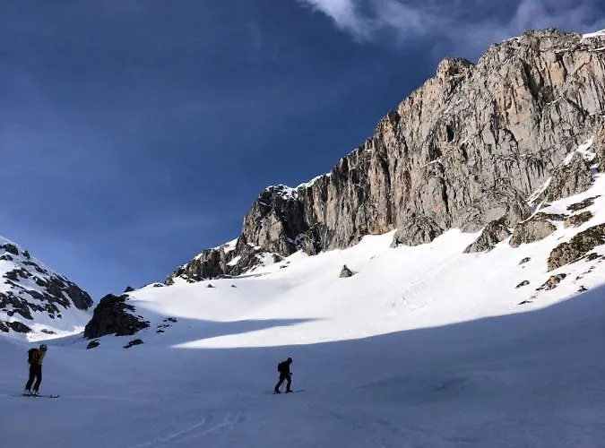 Basiver - Brana De Tejos *