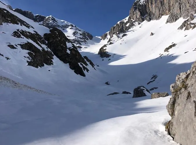 Basiver - Brana De Tejos Armano