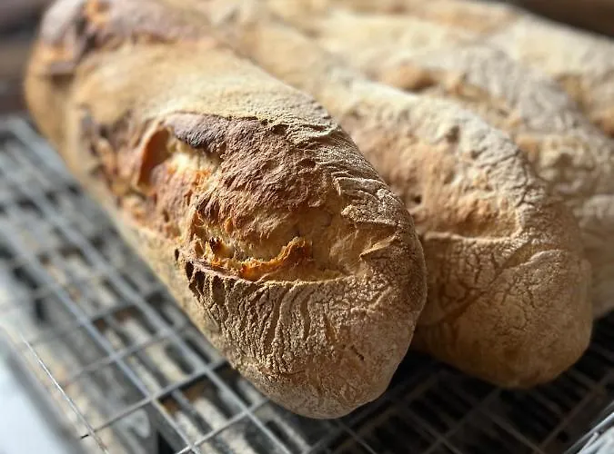 Basiver - Brana De Tejos * Armano