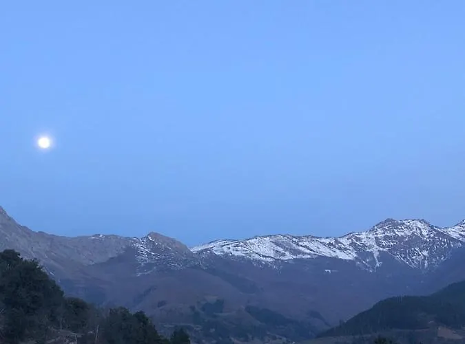 Basiver - Brana De Tejos *