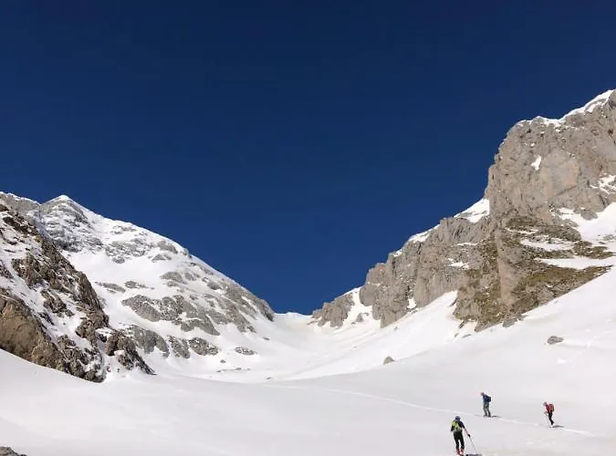 Basiver - Brana De Tejos Armano